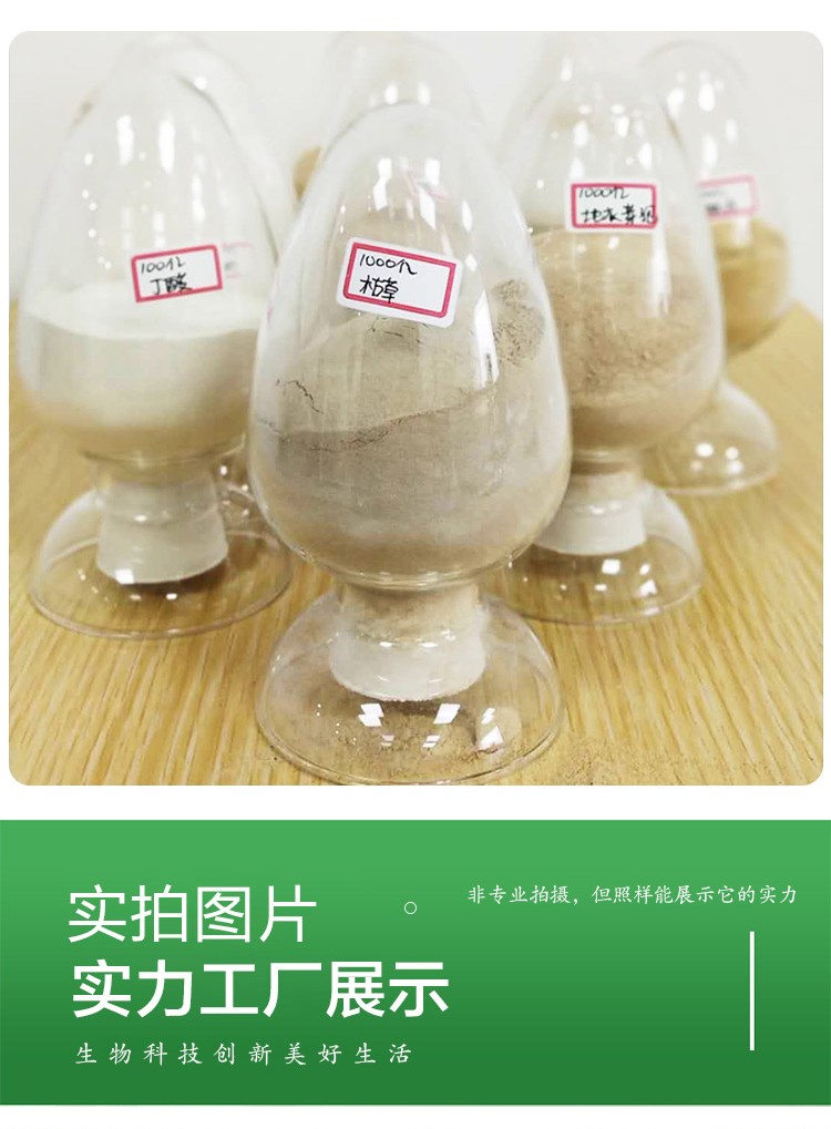 枯草芽孢桿菌