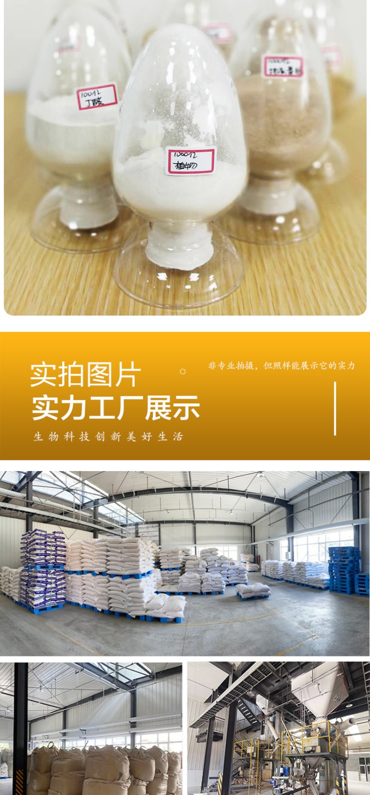 植物乳桿菌 植物乳桿菌